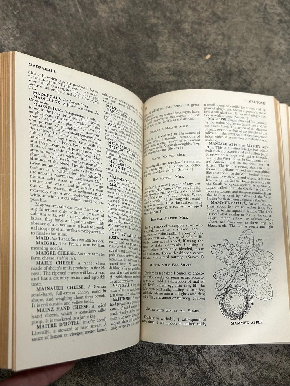 The Wise Encyclopedia of Cookery - Classic Recipe Collection Hardback Cookbook